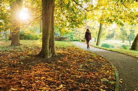 Woman Walking In Park During Autumn Stock Photo