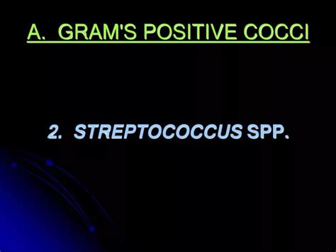 Ppt A Grams Positive Cocci Powerpoint Presentation Free Download