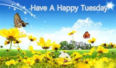 Have A Happy Tuesday Spring Quote Pictures Photos And Images For