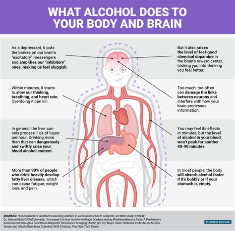 What Alcohol Does To Your Body And Brain Lifestyle