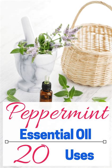 20 Uses For Peppermint Essential Oil Essential Oils Pepermint