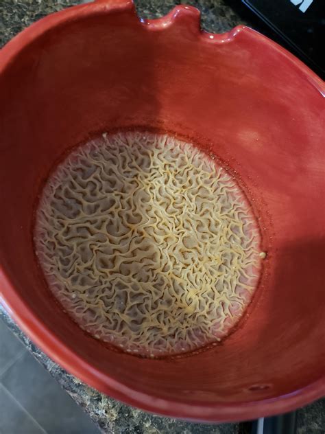 134 best r/trypophobia images on Pholder | Mangoworms are the kings of