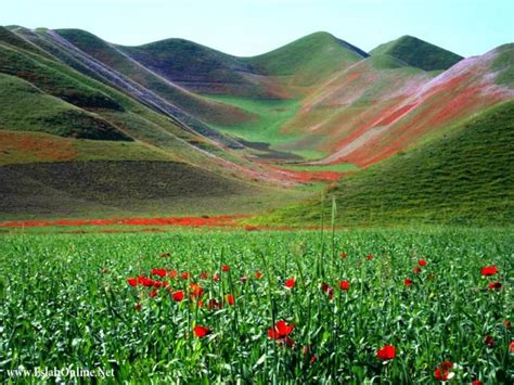 Try the most automated performance testing platform for the enterprise. Kinderweltreise ǀ Afghanistan - Tiere & Pflanzen