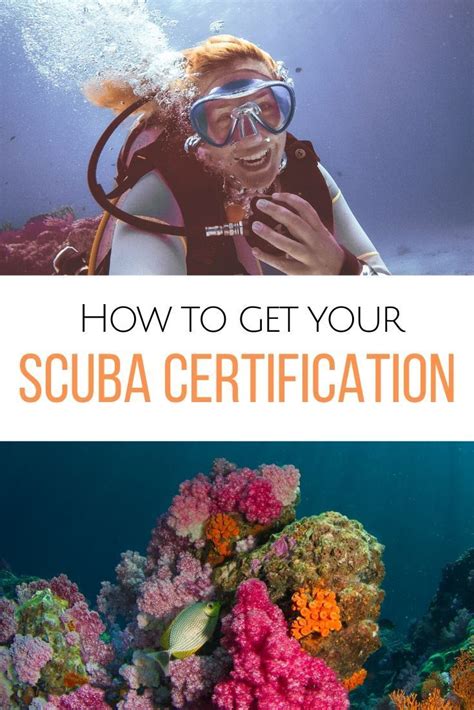 You have reached this life changing website, congratulations. How to get your Scuba Certification. in 2020 | Scuba ...