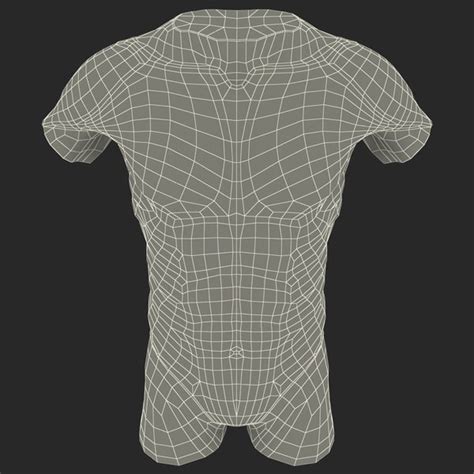 Almost every muscle constitutes one part of a pair of identical bilateral muscles, found on both sides. torso muscles 3ds