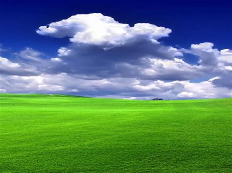 48+ Most Beautiful Desktop Wallpaper Ever on WallpaperSafari