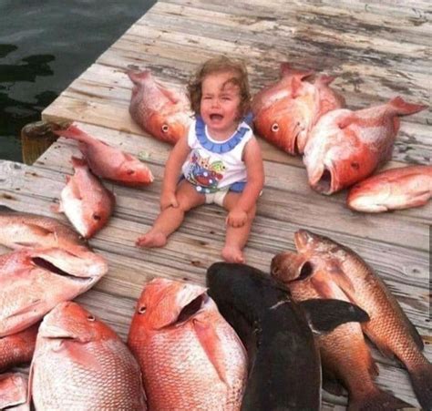 Fishing Pictures And Jokes Funny Pictures And Best Jokes Comics