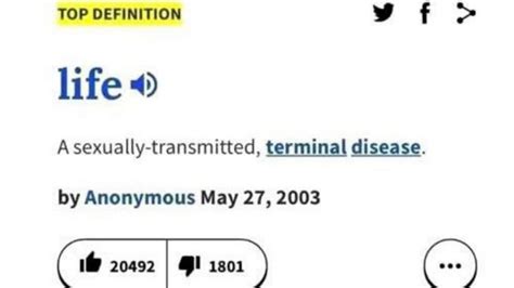 Funniest Urban Dictionary Terms Youtube