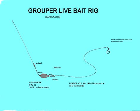 Grouper Live Bait Rig