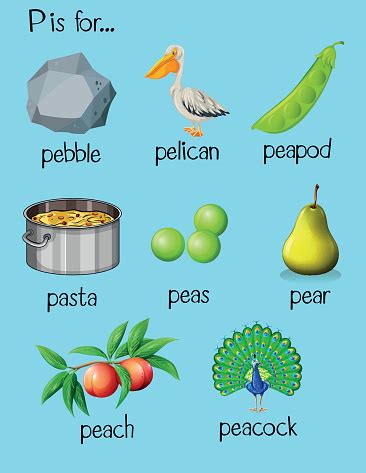 What are some gifts that start with letter p? Many Words Begin With Letter P Stock Illustration ...