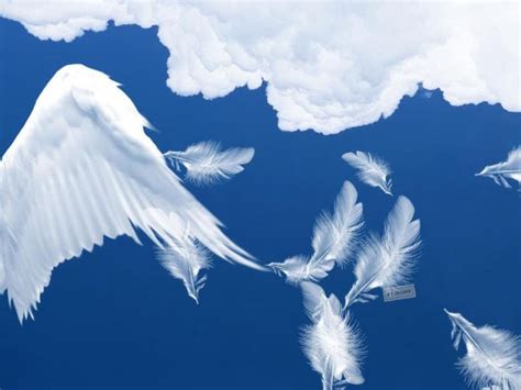 Angel Wings Art Feather Angel Wings Falling Skies Soft Grunge