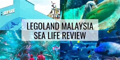 Legoland Sea Life Malaysia Review 2023 From Own Experience