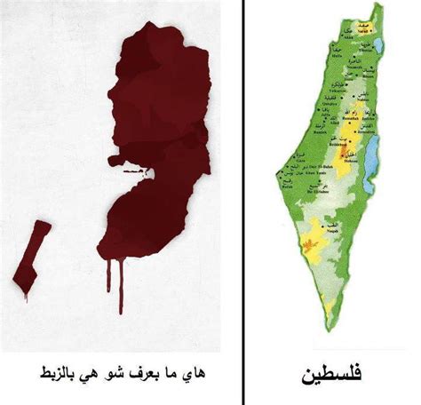 قناة المعلومات العامة اغاني فلسطينية روعة فلسطين الجنوب السوري المحتل