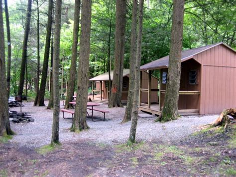 Maybe you would like to learn more about one of these? Russell Brook Campsite - 2 Photos - Roscoe, NY - RoverPass