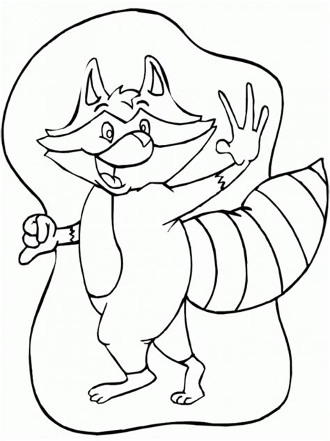Coloring Pages Raccoons