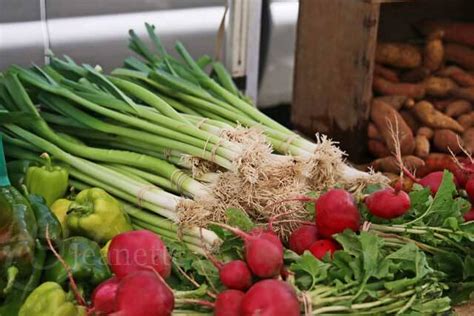 Bone broth for health building. Magic Mineral Broth Recipe