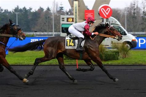La seule chose ici c'est que les proportions sont très différentes et que leur bassin n'est pas orienté comme le nôtre à cause de leur quadrupédie. ICI C'EST PARIS - La fiche CANALTURF du cheval ...