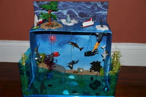 Marine habitats can be very different from each other depending on how warm the water is. Ocean Habitat for 1st Grade kid... | Ocean habitat ...