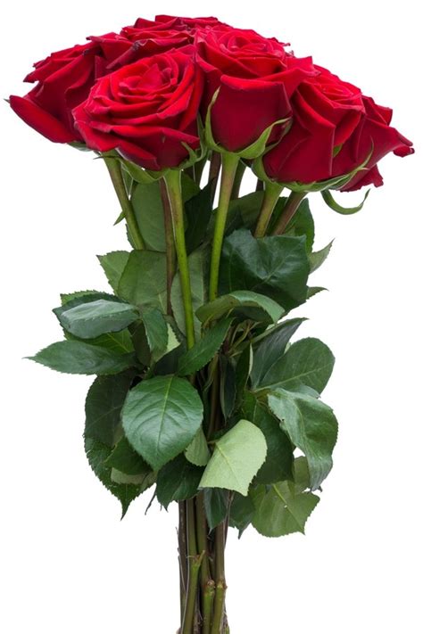 Classic Red Roses Next Day Delivery Flower Explosion