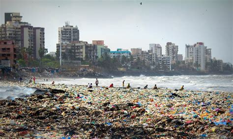 India 1500 Volunteers Clear 3 Million Tons Of Trash From Mumbai Beach
