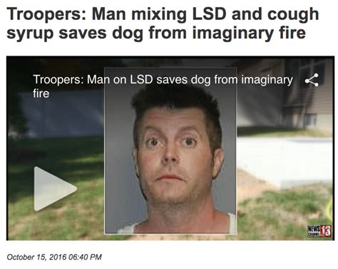 Funniest News Headlines That Are Perfect For Our Current World