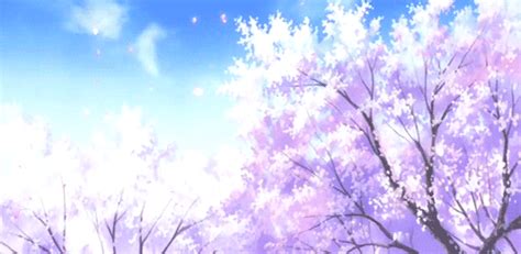 Asriel20asi — Sakura~ Garotos Anime Anime Cenario