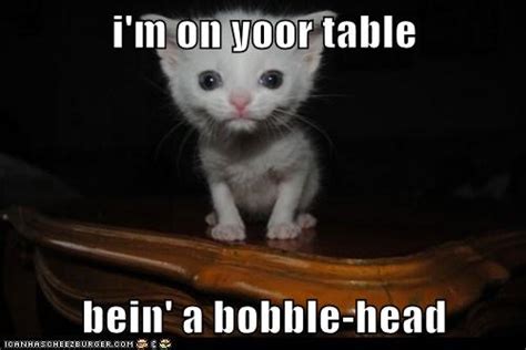 Im On Yoor Table Lolcats Lol Cat Memes Funny Cats Funny Cat