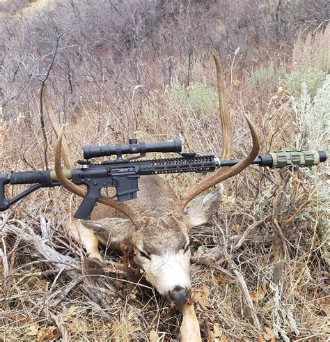 Hunting With An Ar15 Rhunting
