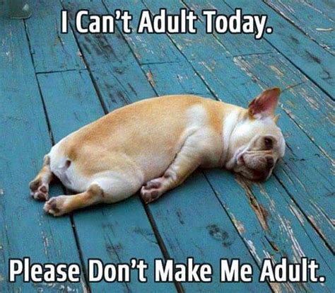 I Can T Adult Today Adulting Know Your Meme