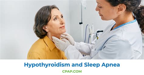 Hypothyroidism And Sleep Apnea Can Your Thyroid Be Causing Sleep Apnea