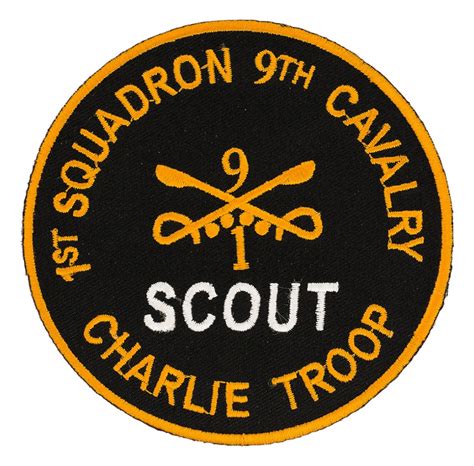 1st Squadron 9th Cavalry Scout Charlie Troop Patch Flying Tigers Surplus