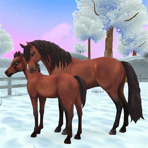 Die curly horses | star stable trailer analyse. Star Stable - Der braune Andalusier ist nun endlich auch ...