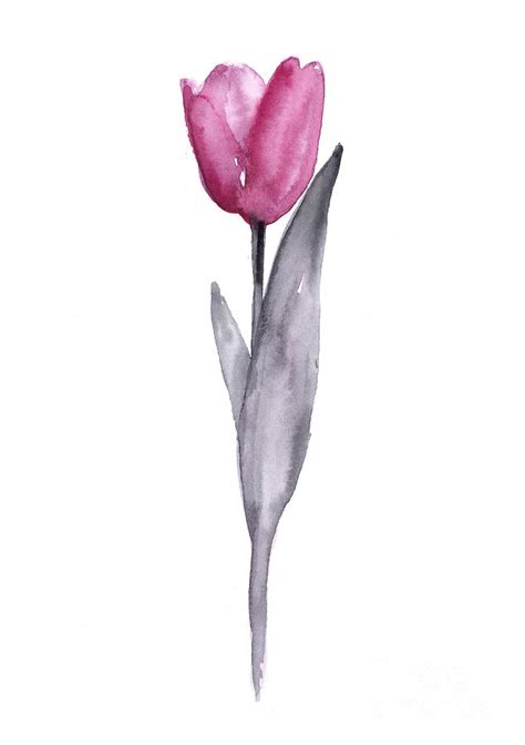 Purple Tulip Watercolor Art Print Painting Painting By Joanna Szmerdt