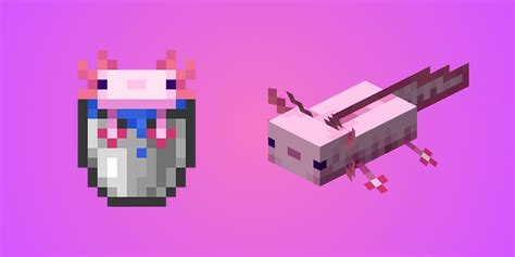 Minecraft Can You Tame An Axolotl Guide