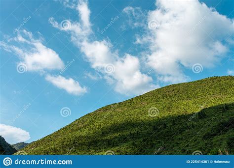 Panorama Of Beautiful Countryside In Summer Beautiful Landscape With
