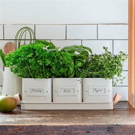 10 Charming Indoor Herb Garden Planters Taste Of Home