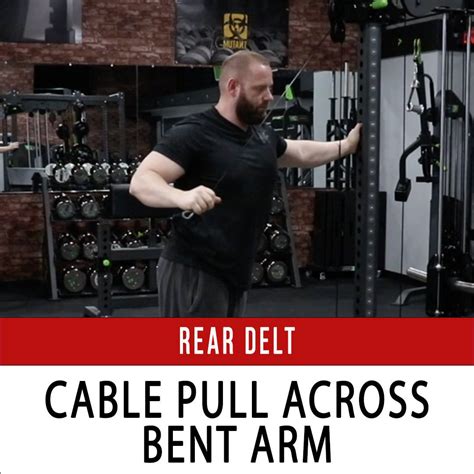 Posterior Delts N1 Training