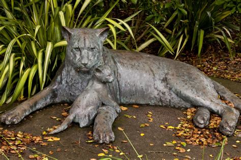 Image Big Cat Statue Medium Cryptid Wiki Fandom Powered By Wikia