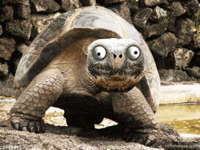 Made My Day GIFs - Find & Share on GIPHY