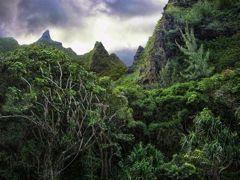 Jungle Mountain Photograph By Timothy Manning Pixels