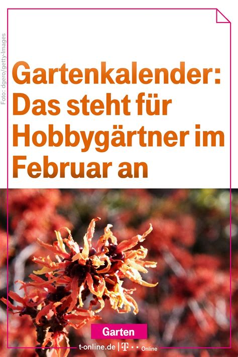 Check spelling or type a new query. Garten im Februar: Das ist jetzt zu tun | Garten pflanzen ...