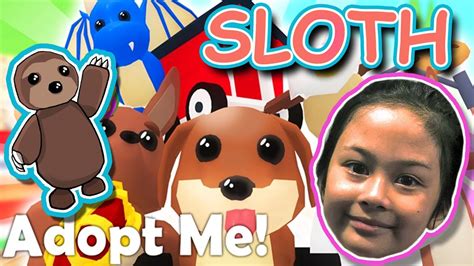 Roblox Sloth Adopt Me Youtube
