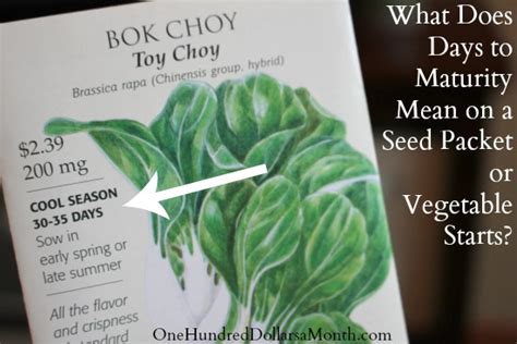 The reality is that cacti do grow from seeds, and anyone can grow them. What Does Days to Maturity Mean on a Seed Packet or ...