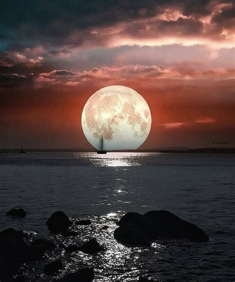 720p Free Download Moon Beach Moonshine Nature Night Satellite