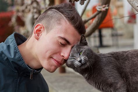 If your wondering why do cats rub against you?, another reason may be that they are. Secrets You Never Knew About Your Cat