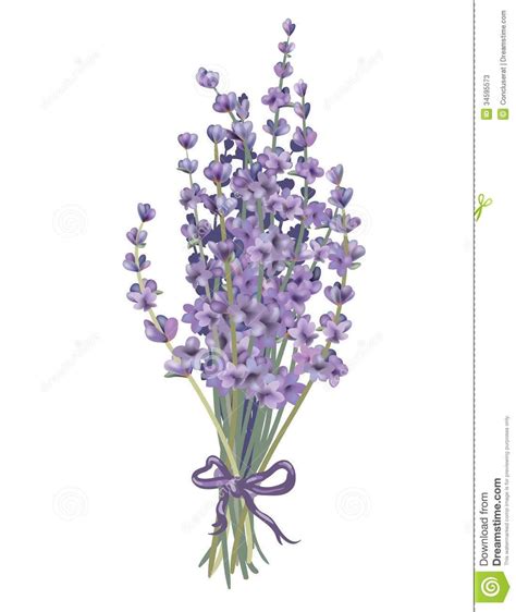 Lavender Bouquet Coloured Objects Can Be Easily Regrouped Drawn
