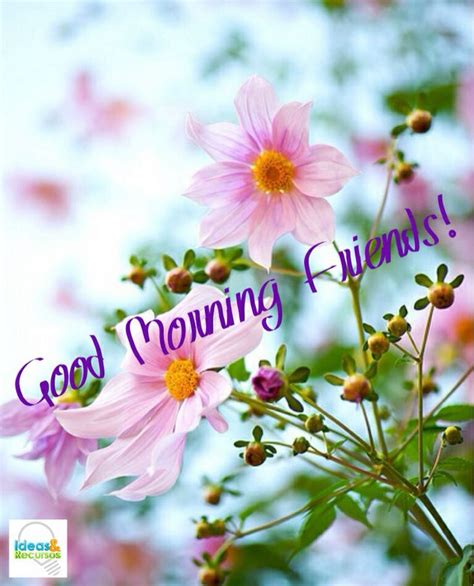 Affordable and search from millions of royalty free images, photos and good morning! Ideas & Recursos on FB | Good Night / Good Morning ...