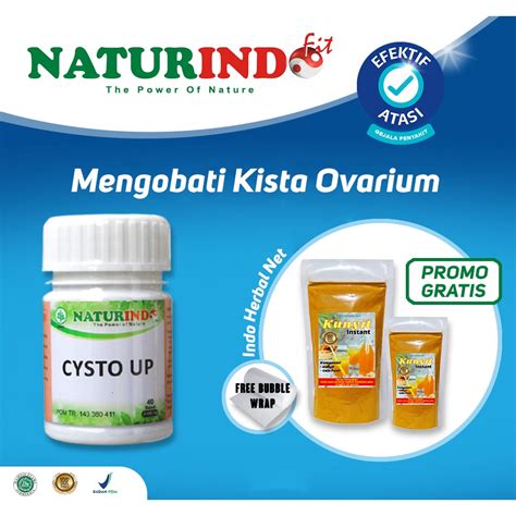 Jual Obat Kista Ovarium Herbal Naturindo Shopee Indonesia