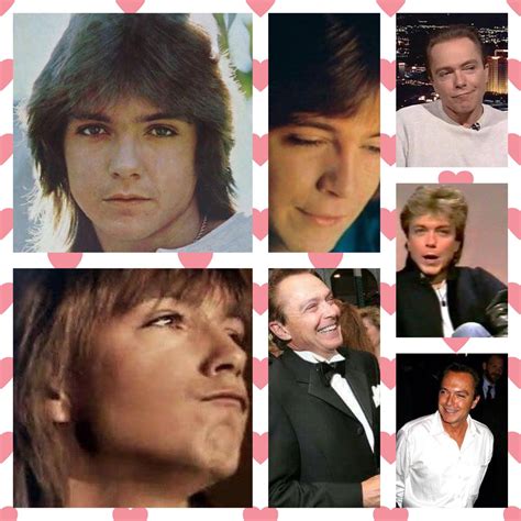 david cassidy david cassidy heartthrob daydream favorite celebrities the man talent first