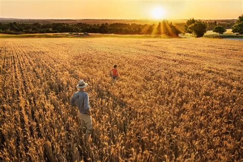 Story Of A Wheat Farmer Eureka Mills